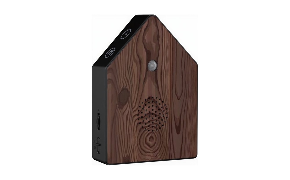 Walnut